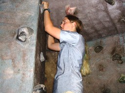 Indoor Rock Climbing at Cito